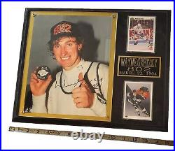 802 Goals 15×12 Wayne Gretzky Hof La Kings NHL Signed Photo Plaque Cards Vintage