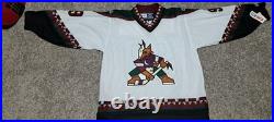 Wayne Gretzky #99 HOF The Great One Hand-Signed Phoenix Coyotes Jersey With Tags