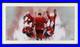Wayne Gretzky Canada Olympic Team Frmd Signed 36 x 18 Homeland Photo UD