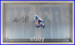 Wayne Gretzky Edmonton Oilers Signed Great From Above Display-Upper Deck