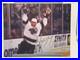 Wayne Gretzky LA Knights Signed Autographed Photo Authentic 8X10 COA