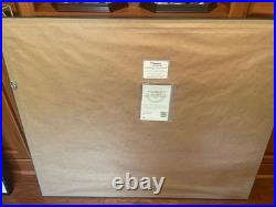 Wayne Gretzky Signed Autograph Framed CCM St. Louis Blues Jersey Uda Fanatics