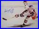 Wayne Gretzky Signed IP Autograph Auto 8.5x11 Photo-New York Rangers
