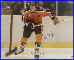 Wayne Gretzky Signed Metallic 16x20 Photo Edmonton Oilers St Louis Blues Psa J20