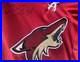 Wayne Gretzky Signed Phoenix Coyotes Hockey Jersey