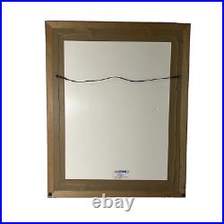 Wayne Gretzky's 2000th NHL Point-Framed Autographed Ltd Edition Print #77/2000